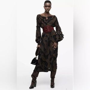 NWT Zaralimited edition dress